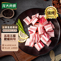 LONG DA 龙大 肉食黑山猪五花肉1kg去皮 蓬莱生态黑猪生鲜烧烤食材 猪五花烤肉