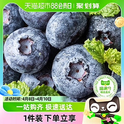喵满分 云南蓝莓18mm+大果125g/盒新鲜水果当季蓝莓顺丰包邮