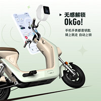 小牛电动 G100新国标电动自行车 锂电池 两轮电动车