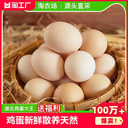 土家享 湖北省鸡蛋大王 农家散养新鲜鸡蛋