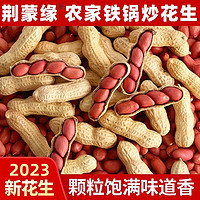 净重农家铁锅炒花生零食2023新货新鲜带壳原味四粒红衣红皮炒熟