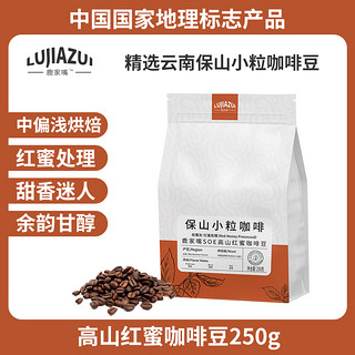 鹿家嘴 一级精品SOE咖啡豆250g 中度烘培 高山水洗