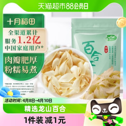 SHI YUE DAO TIAN 十月稻田 百合干100g干货新鲜龙山产食用百合干银耳莲子粥熬粥煲汤