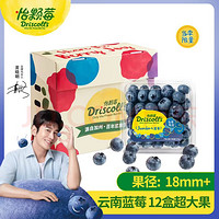 怡颗莓 Driscoll's云南蓝莓Jumbo超大果18mm+ 原箱12盒礼盒装 125g/盒赠酸奶