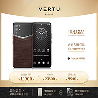 VERTU 纬图 iVERTU PROCELLA礼盒 纬图5G全面屏商务手机骁龙888 送礼 威图手机 棕色风暴纹手机（单品） 全新风暴纹系列