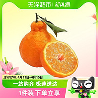四川浦江不知火丑橘新鲜应当季水果5斤装桔子丑八怪酸甜橘子包邮
