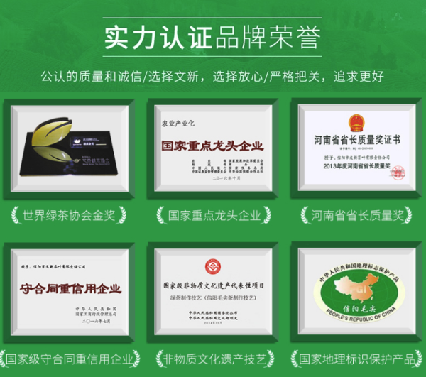 WenXin Tea 文新 信阳毛尖 明前特级 75g