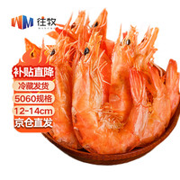                                                                                 往牧超大虾干大号干虾即食大虾即食虾干烤虾干 虾干即食烤虾干对虾干 特大虾干500g（50-60只）