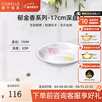 CORELLE 康宁餐具 碗碟套装饭碗家用乔迁高档餐具郁金香玻璃餐具整套 郁金香17cm深盘* 2头