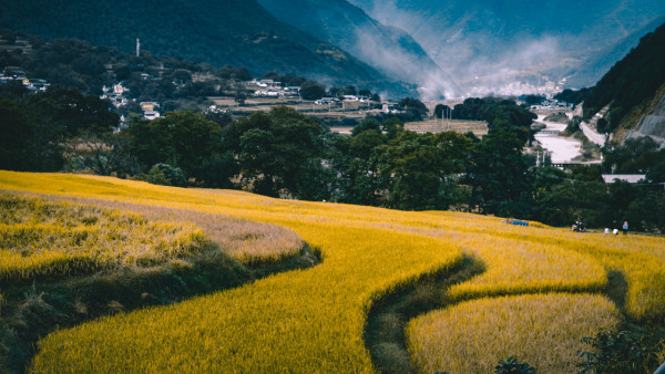 爆款回归!不愧是滇藏天花板!松赞云南旅游丽江-塔城-香格里拉5天4晚双人游