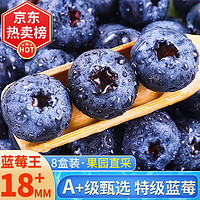 望果仙 蓝莓 18mm+ 大果装 125g*8盒