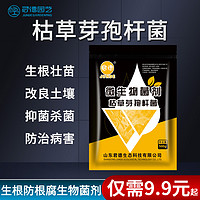 JUNDEARDENING 君德 枯草芽孢菌杆菌农用微生物菌肥枯草杆菌菌剂菌肥菌种防病肥料