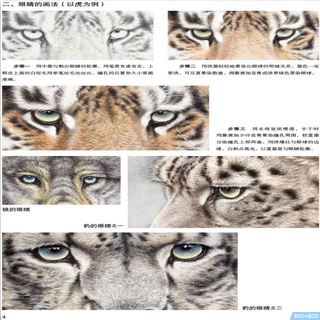 《名家国画示范教程·工笔猛兽技法》