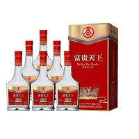 WULIANGYE 五粮液 52度浓香型白酒 500ml*2瓶