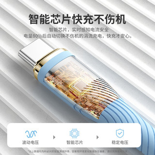  季烁 100W快充 双typec数据线  硅胶 蓝色 Type-C Type-C 100W 5A