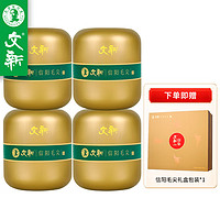 WenXin Tea 文新 2024年明前礼盒 文新印象信阳毛尖特级 300g