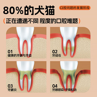 富士樱宠物猫咪狗狗口腔清洁喷雾去口臭除异味洁齿清新口气溶牙菌斑牙黄 银离子口腔清洁喷雾100ml