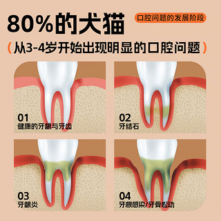 富士樱宠物洁齿水猫咪狗狗漱口水洁牙去牙结石除口臭无需牙刷可食用清洁 银离子洁齿水100ml