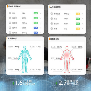 小白秤 体脂秤 体重秤 家用精准测 运动电子秤 人体秤 L08 高端月光白