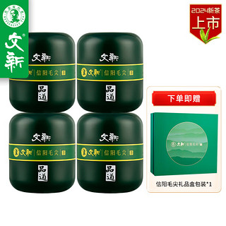 WenXin Tea 文新 特级 信阳毛尖茶 240g