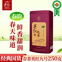 YINGHONG TEA 英红 牌 春茶英红九号有机茶叶 功夫红茶大份量罐装250g 自饮节日送礼