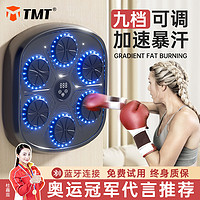 TMT 拳击机家用 蓝牙智能互联