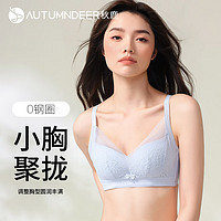 秋鹿文胸内衣女小胸聚拢美背收副乳上托防下垂性感蕾丝背心式胸罩 灰兰(58) 80B 36/80B