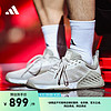 adidas DROPSET 2 EARTH TRAINER综合训练运动鞋男女阿迪达斯 浅灰色/深灰色 45(280mm)