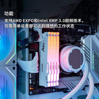 Kingston 金士顿 FURY 32GB(16G×2)套装 DDR5 6800  Beast RGB灯条  海力士A-die CL34 AMD EXPO 白色