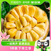 88VIP：果园密码 越南红肉菠萝蜜热带水果菠萝蜜8斤