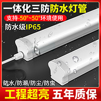 梵耀 led长条一体化防水条形三防冷库灯管220V车间食品工厂超亮日光灯