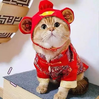 智宙 猫咪衣服过新年喜庆中国风秋冬季保暖狗狗宠物猫猫布偶春节英短 财神喵龙凤呈祥唐装