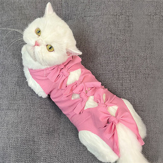 宠号 宠物猫咪衣服 绝育服 母猫 手术服小猫 粉色 S 3-6斤