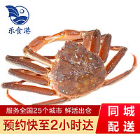 【活鲜】乐食港 俄罗斯板蟹长脚蟹松叶蟹 大螃蟹 活蟹海鲜水产 1000g