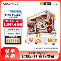 COLORFUL 七彩虹 i5 14600KF/4070S橘影橙定制电脑游戏主机DIY橘猫水冷整机