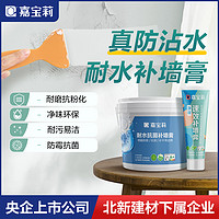 CARPOLY 嘉宝莉 墙面修补膏补墙膏墙面白色腻子粉刷墙裂缝修复翻新神器家用