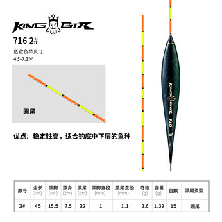 BenTing 本汀 太极宗师纳米鱼漂