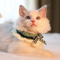 Hoopet 猫咪围脖宠物围巾布偶猫饰品装饰狗狗猫猫针织圣诞小猫可爱猫项圈