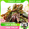 新鲜头茬香椿芽蔬菜山东250g特产新鲜现摘现发绿色蔬菜