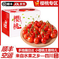 爆甜 米易小樱桃 250g*2盒+顺丰