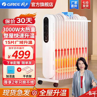 GREE 格力 取暖器电油汀智能恒温15片电暖器片移动地暖大功率速热暖风机低噪整屋快速升温NDY19-S6030