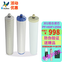 Doulton 道尔顿 净水器DIP301/FIP301/HIP3用滤芯一套3根 家用厨房自来水陶瓷滤芯净水器