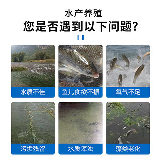 佰泰康复合芽孢杆菌水产养殖鱼虾蟹塘调水净水肥水降氨氮生物菌种粉 10袋