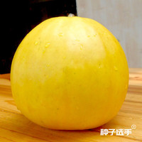 农之子 甜瓜种子大全香瓜南方北方羊角蜜 农之子黄金蜜2号甜瓜种子5g/薄皮