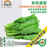 彩虹雨 北京农场有机小菠菜250g 有机蔬菜 菠菜