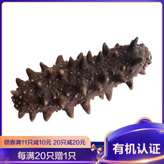 宫品 淡干海参刺参4-4.5cm 1只 每满20只赠1只 国产海鲜水产袋装