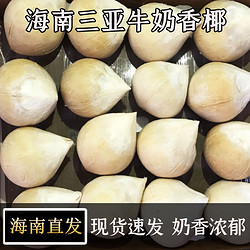 佳宝臣 VEYBOUSON 海南牛奶椰皇 9个装