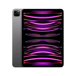 百亿补贴：Apple 苹果 iPad Pro 11英寸 256GB 2022款M2芯片 学习办公娱乐平板电脑