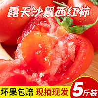 百亿补贴：夏趣山东西红柿番茄新鲜透心红新鲜现摘整箱非普罗旺斯3斤5斤装