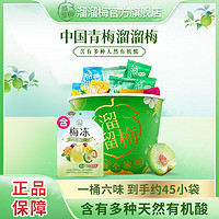 LIUM 溜溜梅 全家桶480g蜜饯果干果脯青梅制品办公室休闲追剧网红小零食